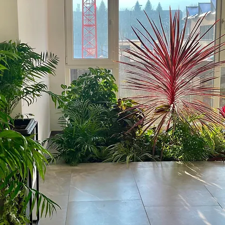 92- Urban Plaza בראשוב